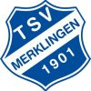 tsv-logo